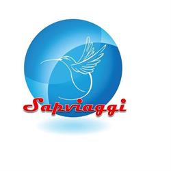 S.A.P. DI BELLOCCHIO E MARINGONI S.N.C.