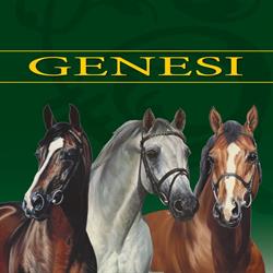 GENESI SRL