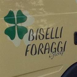 BISELLI FORAGGI GROUP S.R.L.