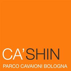 CA-SHIN S.R.L.