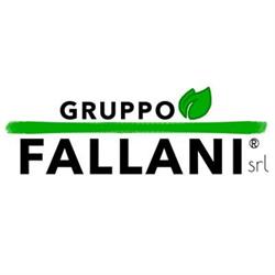 GRUPPO FALLANI S.R.L.