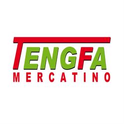 TENGFA 2 S.R.L.