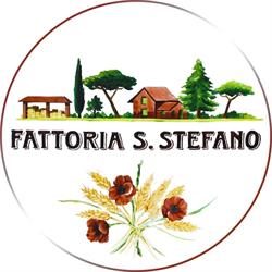 FATTORIA SANTO STEFANO - SOCIETA' A RESPONSABILITA' LIMITATA