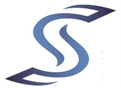 SYNERGY SYSTEM SRL