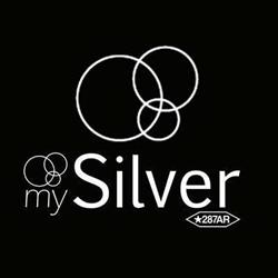 MY SILVER S.R.L.