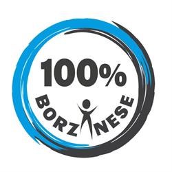 POLISPORTIVA BORZANESE ASSOCIAZIONE DI PROMOZIONE SOCIALE, ASSOCI AZIONE SPORTIVA DILETTANTISTICA