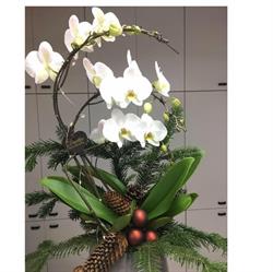 FLORINGROSS S.R.L.