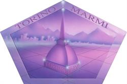 TORINO MARMI SOCIETA' COOPERATIVA