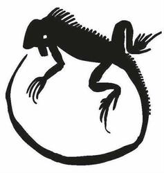 L'IGUANA EDITRICE S.A.S. DI CHIARA TUROZZI & C.