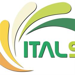 ITALSOLUZIONI SRL
