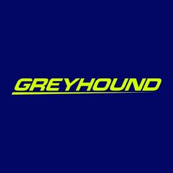 GREYHOUND S.R.L.