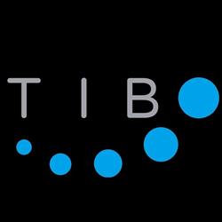 TIBODYWORK INSTITUTE SRL (ABBREVIABILE IN TIBI SRL)