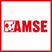 AMSE S.R.L.