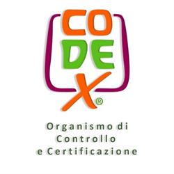CODEX SRL