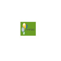 Synergica