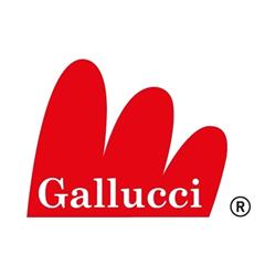 CARLO GALLUCCI EDITORE SRL