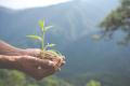 Servizi ecologici e Gestione dei rifiuti