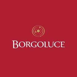 BORGOLUCE SOCIETA' AGRICOLA S.S.