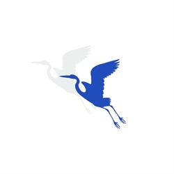 Ardea Costruzioni
