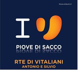R.T.E. DI VITALIANI ANTONIO E SILVIO S.A.S. & C.