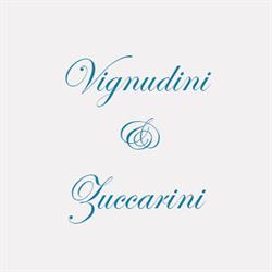 Vignudini e Zuccarini Srl