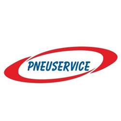 PNEUSERVICE DI D'URBANO CHIARA