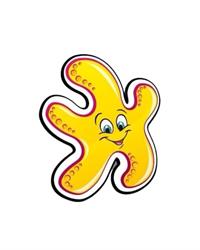 PLAYSTAR S.R.L. PARCO GIOCHI