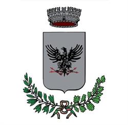 COMUNE DI ARZERGRANDE POLIZIA MUNICIPALE