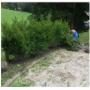 Rifacimento Giardini