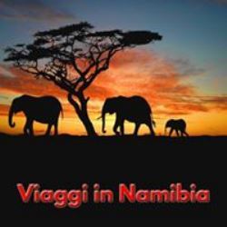 Namibia Botswana Tanzania Sudafrica Viaggi e Tour
