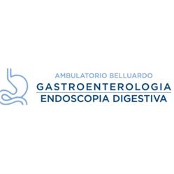Centro Gastroenterologico Belluardo
