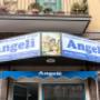 Gallery Professionale