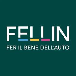 Fellin Luca