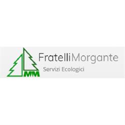 MM Fratelli Morgante
