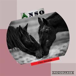 Anso Tutto per Il Campeggio Anso Sas