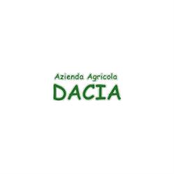 Pensione per Cani Dacia