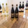 Produzione Vini