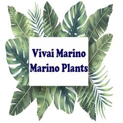 Vivai Marino - Marino Plants