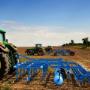 Attrezzature Agricole