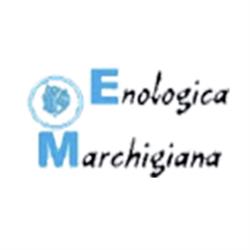 Enologica Marchigiana