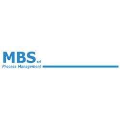 Mbs Process Management