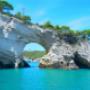 Fabert Tour Agenzia Viaggi