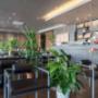 Gallery Professionale