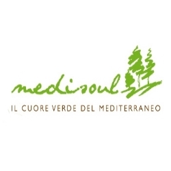Medisoul