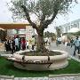 Legno Garden