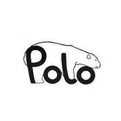 Polo Condizionatori