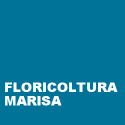 Floricoltura Marisa