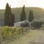 Azienda Agricola