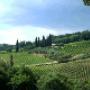 Azienda Agricola