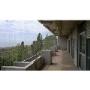 Reti-Morbide-Su-Grande-Balcone